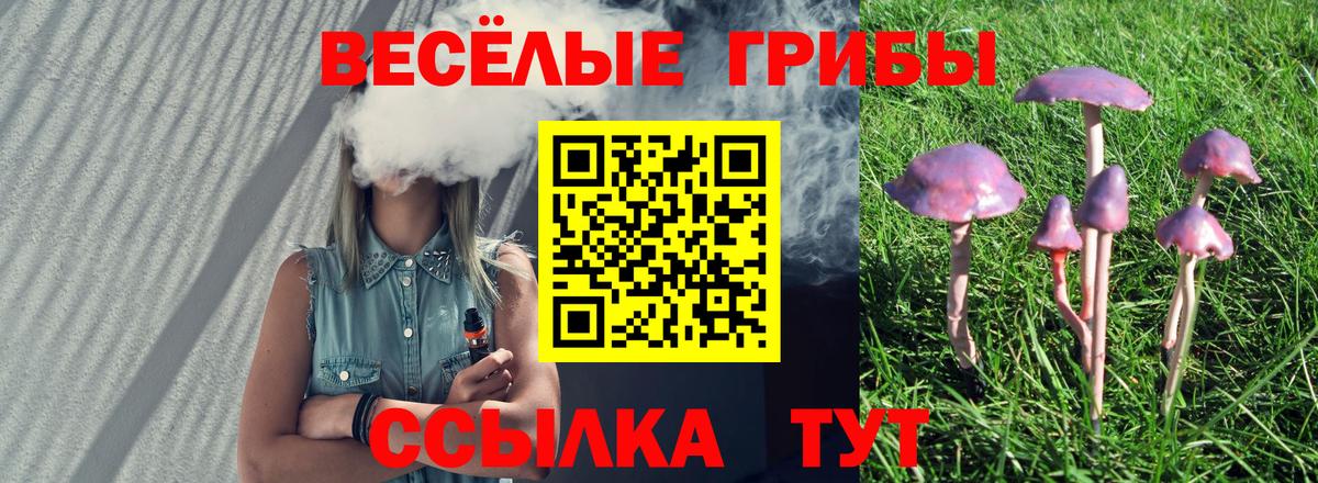 Галлюциногенные грибы мицелий  Вход с VPN  Белово 